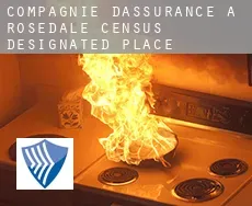 Compagnie d'assurance à Rosedale