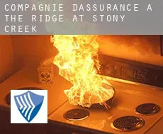 Compagnie d'assurance à  The Ridge At Stony Creek