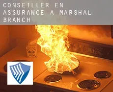 Conseiller en assurance à Marshal Branch