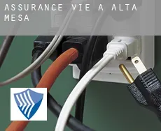 Assurance vie à  Alta Mesa