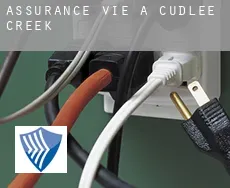 Assurance vie à Cudlee Creek