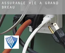 Assurance vie à Grand Bréau