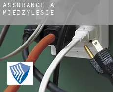 Assurance à Międzylesie