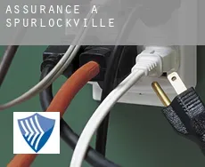 Assurance à  Spurlockville
