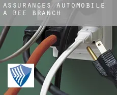 Assurances automobile à  Bee Branch