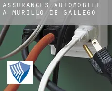 Assurances automobile à  Murillo de Gállego