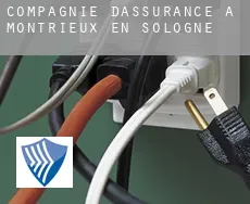 Compagnie d'assurance à Montrieux-en-Sologne