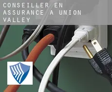 Conseiller en assurance à  Union Valley