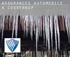 Assurances automobile à Cookernup
