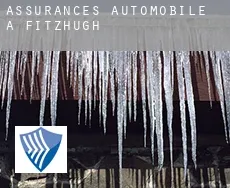 Assurances automobile à  Fitzhugh