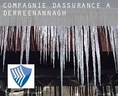 Compagnie d'assurance à Derreenannagh