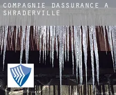 Compagnie d'assurance à  Shraderville