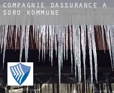 Compagnie d'assurance à  Sorø Kommune