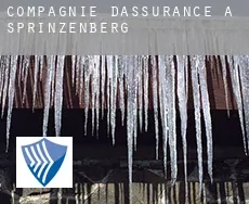 Compagnie d'assurance à  Sprinzenberg