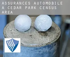 Assurances automobile à  Cedar Park (census area)