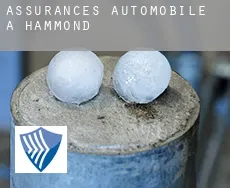 Assurances automobile à Hammond