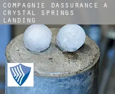 Compagnie d'assurance à  Crystal Springs Landing