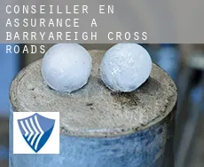 Conseiller en assurance à  Barryareigh Cross Roads