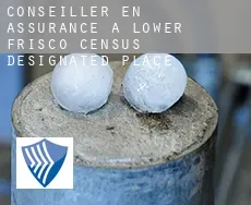 Conseiller en assurance à  Lower Frisco