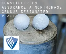 Conseiller en assurance à Northchase
