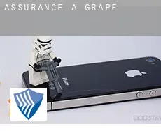 Assurance à  Grape
