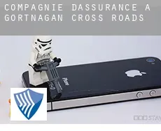 Compagnie d'assurance à  Gortnagan Cross Roads