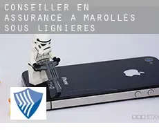 Conseiller en assurance à  Marolles-sous-Lignières