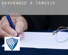 Assurance à  Támesis
