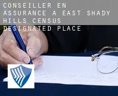 Conseiller en assurance à  East Shady Hills