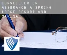 Conseiller en assurance à Spring Lodge Resort and Marina