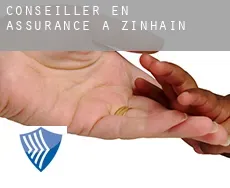 Conseiller en assurance à  Zinhain