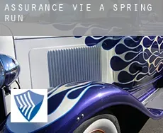 Assurance vie à  Spring Run