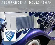 Assurance à  Dillingham
