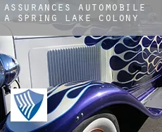Assurances automobile à  Spring Lake Colony