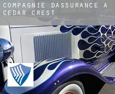 Compagnie d'assurance à  Cedar Crest