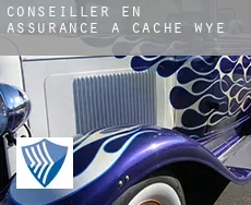 Conseiller en assurance à  Cache Wye