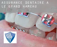 Assurance dentaire à  Le Grand Hameau