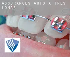 Assurances auto à  Tres Lomas