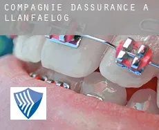 Compagnie d'assurance à  Llanfaelog