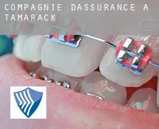 Compagnie d'assurance à  Tamarack