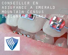 Conseiller en assurance à  Emerald Mountain
