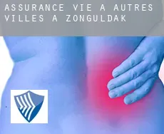 Assurance vie à  Autres Villes à Zonguldak