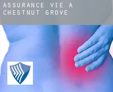 Assurance vie à  Chestnut Grove