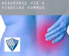 Assurance vie à  Vindelns Kommun