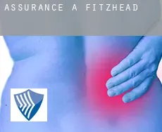 Assurance à  Fitzhead