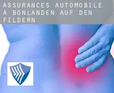 Assurances automobile à  Bonlanden auf den Fildern