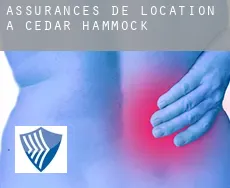 Assurances de location à  Cedar Hammock