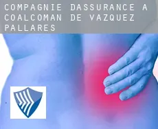 Compagnie d'assurance à  Coalcoman de Vazquez Pallares
