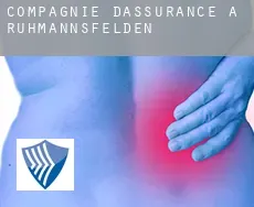 Compagnie d'assurance à  Ruhmannsfelden