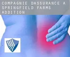 Compagnie d'assurance à  Springfield Farms Addition